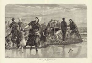 A Shoal of Mackerel by English School