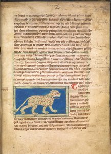 A Tiger, from Sloane 3544, f.2 by English School