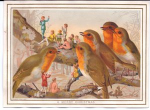 Victorian Christmas Card of Five Robins Perching on a Branch Listening to a Fairy Band