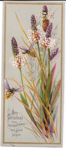 A Victorian Christmas Card of Two Bees Amongst Tall Grasses (c.1880)
