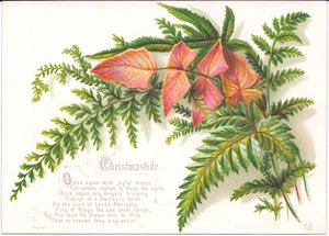 Victorian Christmas Card with Ferns by English School