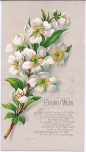 A Victorian Christmas Card with a Spray of Christmas Roses and a Verse, c.1880