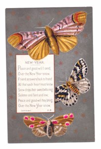 A Victorian New Year Card of Three Butterflies and a Verse