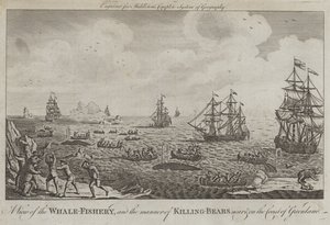 A View of the Whale Fishery and the Manner of Killing Bears near and on the Coast of Greenland by English School