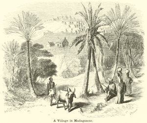 A Village in Madagascar