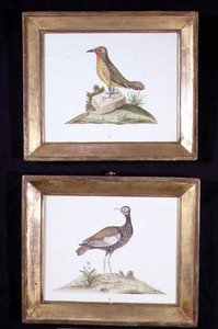 A Woodpecker and a Grouse, c.1800