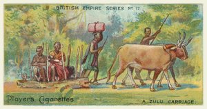 A Zulu Carriage by English School