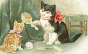A Cat Holding a Hand Mirror