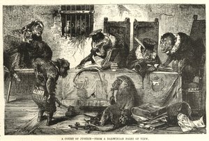 A court of justice from a Darwinian point of view by English School