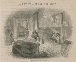 A Day at a Sugar Refinery