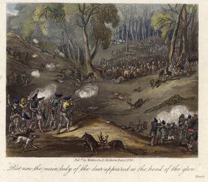 A Deer Hunt by English School