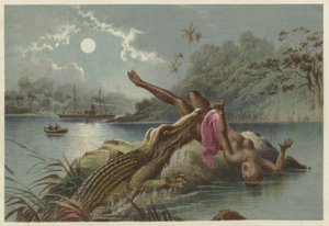 A Frightful Incident, Crocodile Attacking Native Girl