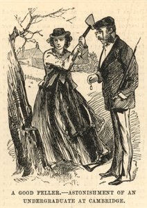 A good fellow; Astonishment of an undergraduate at Cambridge by English School