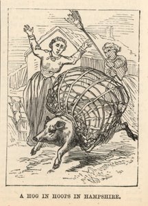 A Hog in Hoops in Hampshire by English School