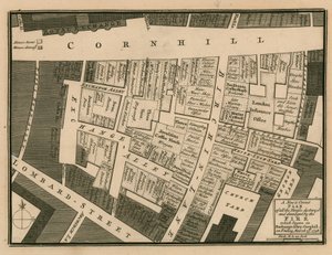 A plan of houses destroyed in the fire which began in Exchange Alley, Cornhill, London, on 25 March 1748 by English School