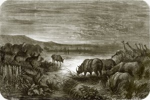A pond in Africa at night by English School