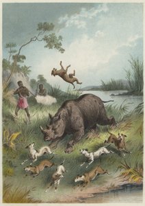 A Rhinoceros Hunt by English School