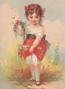 A Young Girl Collecting Wild Flowers