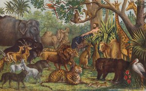 Adam naming the Animals