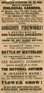 Advert for Surrey Zoological Gardens, Kennington, London by English School