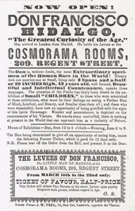 Advert for an Appearance of Don Francisco Hidalgo by English School