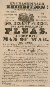 Advert for an Exhibition of The Industrious Fleas by English School