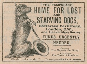 Advertisement for Battersea Dogs Home