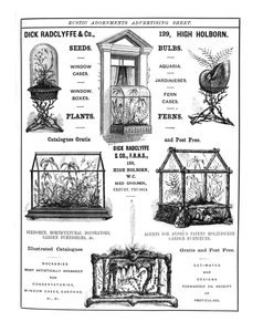 Advertisement for Dick Radclyffe & Co. Rustic Adornments