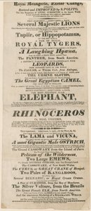 Advertisement for Royal Menagerie, Exeter Change by English School