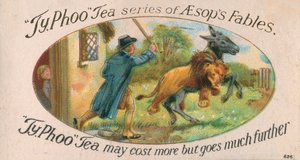 Aesop