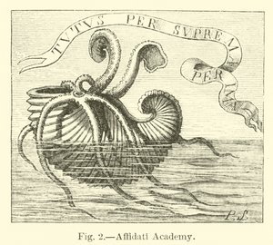 Affidati Academy by English School