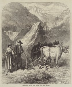 Agriculture in the Dora Valley, Mont Cenis Railway (engraving) by English School