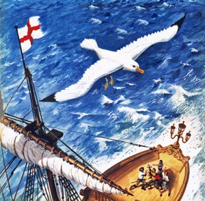 Albatross by English School