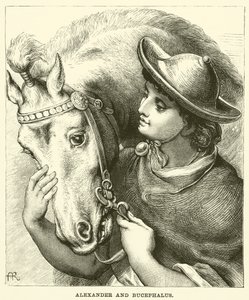 Alexander and Bucephalus by English School