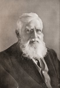 Alfred Russel Wallace, from 
