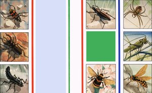 All Sorts of Insects