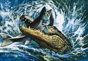 Alligator Eating Fish by English School