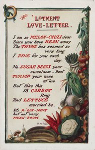 Allotment Love Letter by English School