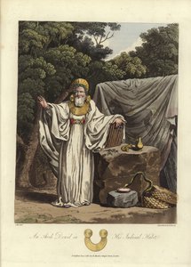 An Arch Druid in his judicial habit by English School