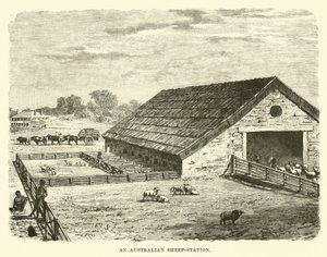 An Australian Sheep-Station