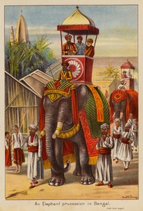 An Elephant procession in Bengal