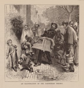 An Illustration of the Darwinian Theory