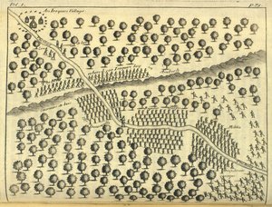 An Iroquois Village, 1703 by English School