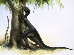 Anatosaurus by English School