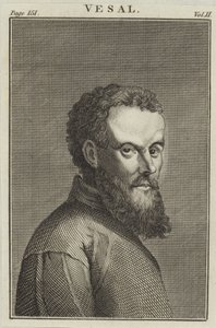 Andreas Vesalius by English School