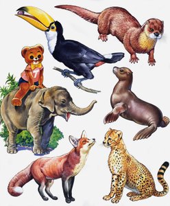 Animal Montage by English School