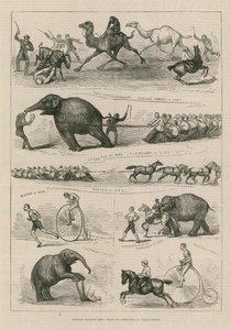 Animals Against Men: Feats of Strength at Lillie Bridge