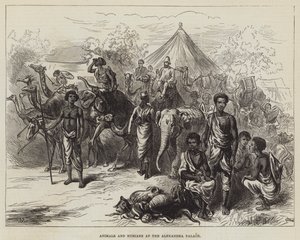 Animals and Nubians at the Alexandra Palace by English School