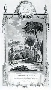 Animals of Maragnan, illustration taken from Moore