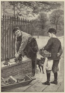 Anticipation! by English School